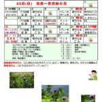 2024年６月ごみカレンダー